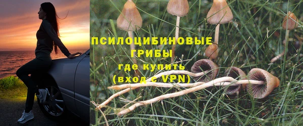 дурь Алексин