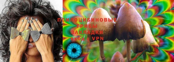 дурь Алексин