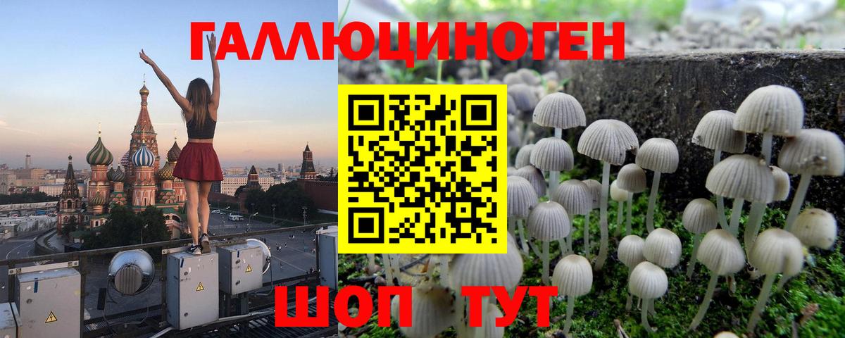 Псилоцибиновые грибы Magic Shrooms  Вход с VPN  Сарапул  Псилоцибиновые грибы Psilocybine cubensis 